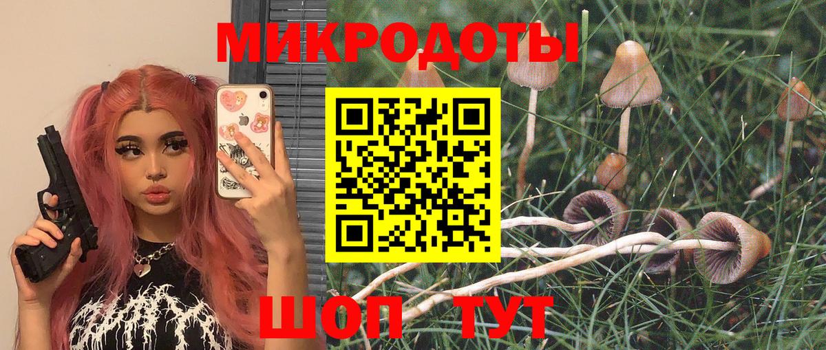 Галлюциногенные грибы прущие грибы Среднеуральск